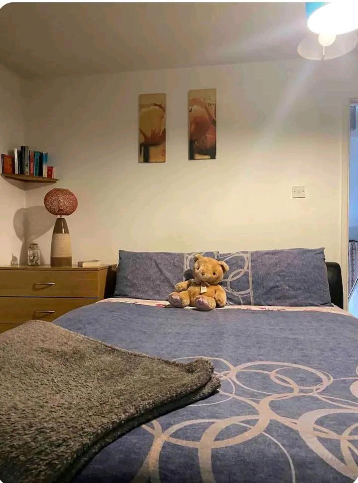 Castleton Appartement Belfast Buitenkant foto