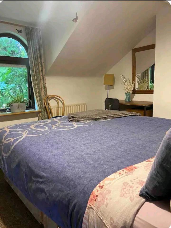 Castleton Appartement Belfast Buitenkant foto
