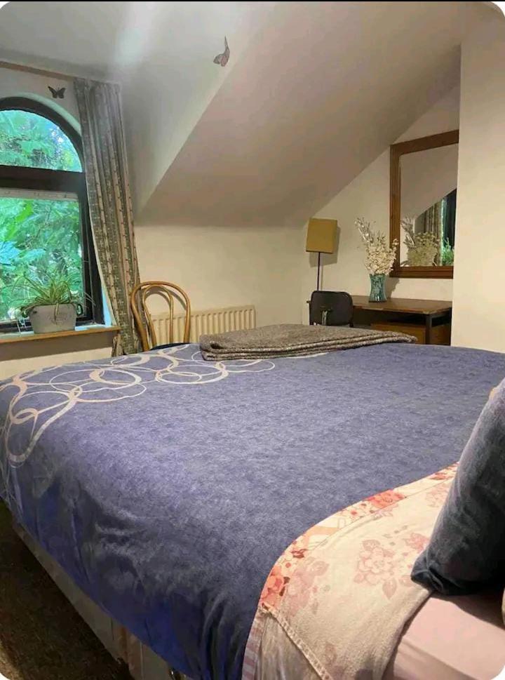 Castleton Appartement Belfast Buitenkant foto