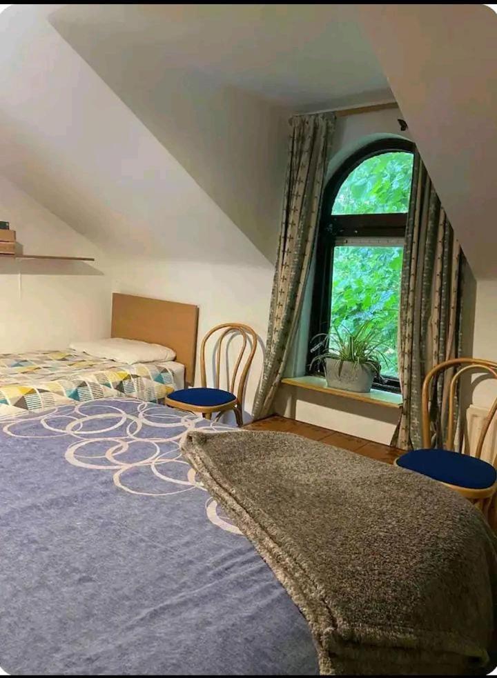 Castleton Appartement Belfast Buitenkant foto